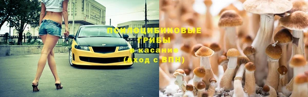 тгк Бугульма