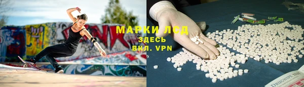 PSILOCYBIN Белокуриха