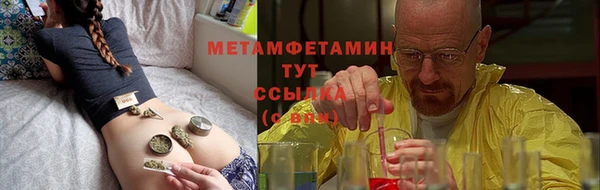 PSILOCYBIN Белокуриха