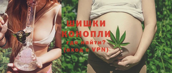 PSILOCYBIN Белокуриха
