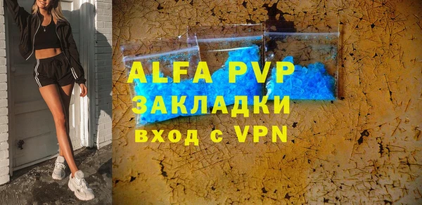 PSILOCYBIN Белокуриха